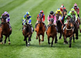 5 Tips For Picking the Winning Horse Melbourne Cup